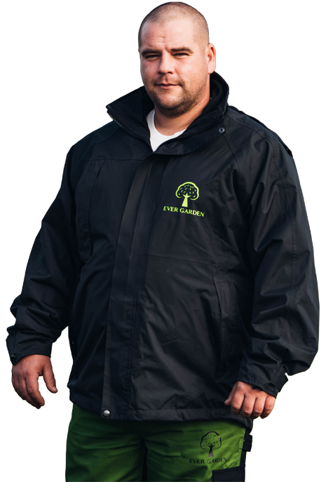 Robi_475x687_transparent